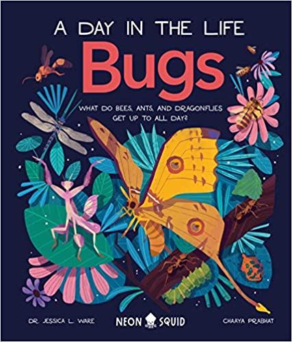 Bugs : What Do Bees, Ants, and Dragonflies Get Up to All Day?  /